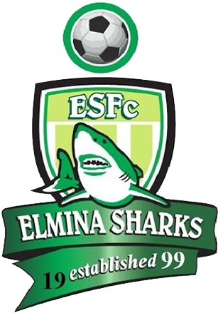 Elmina Sharkselm - Nduom Sports Stadium (500x500), Png Download