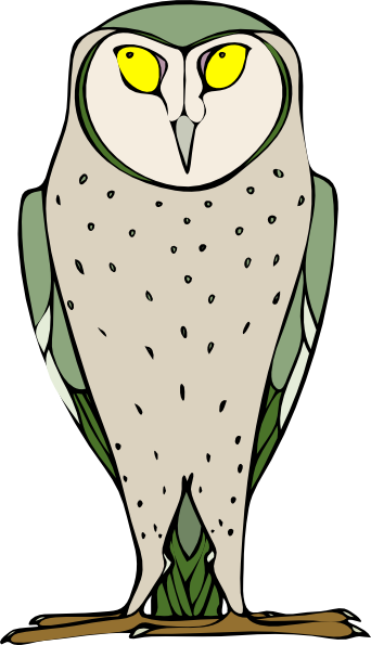 How To Set Use Green And Gray Owl Icon Png - Owl Clip Art (342x595), Png Download