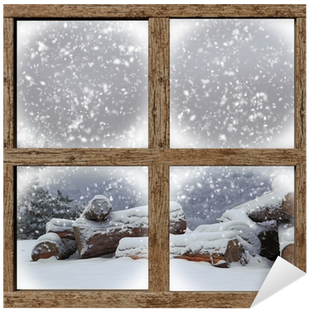 Winter Outdoors View With Firewood Pile From Wooden - Puppies In Paradise [book] (400x400), Png Download
