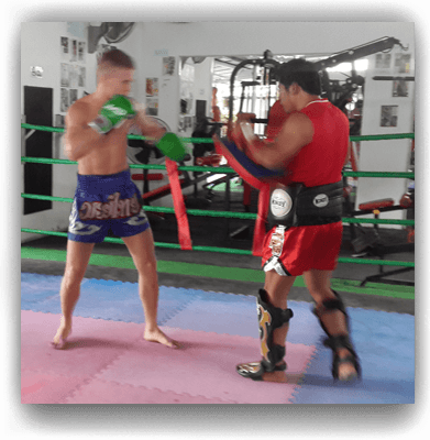 Training 1 - Professional Boxing (391x400), Png Download