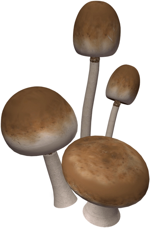 Descargar - 3d Mushroom Transparent (1280x960), Png Download
