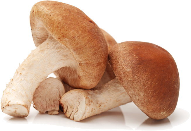 Champignon En 8 Lettres (940x470), Png Download