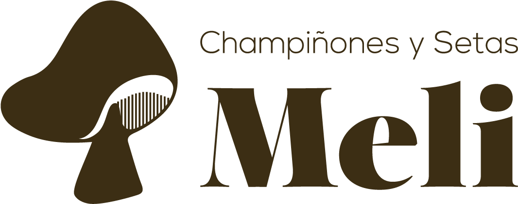 Champiñones Y Setas Meli - Graphic Design (1079x432), Png Download