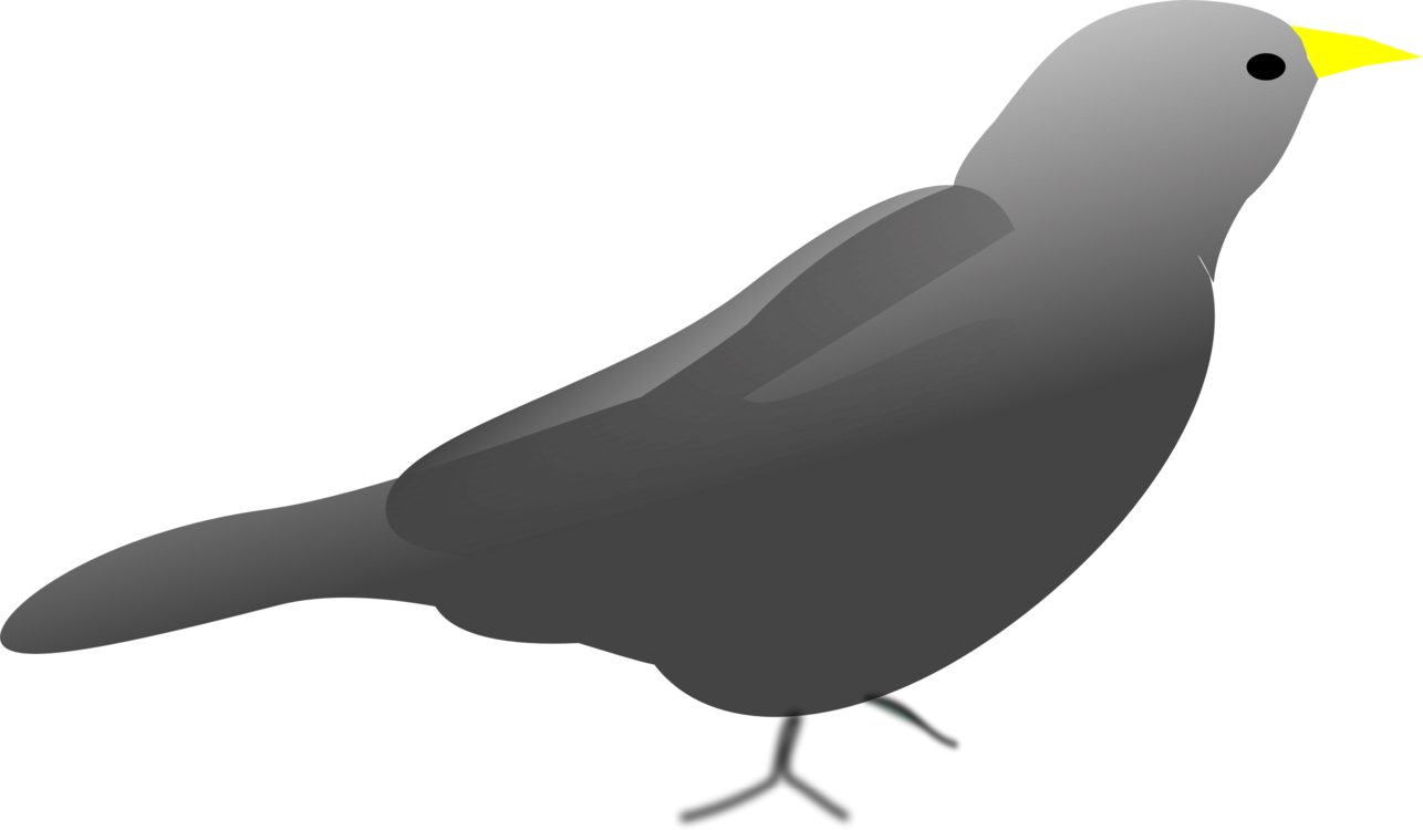 Beak Bird Computer Home Network Call Of Duty - Clip Art (1286x750), Png Download