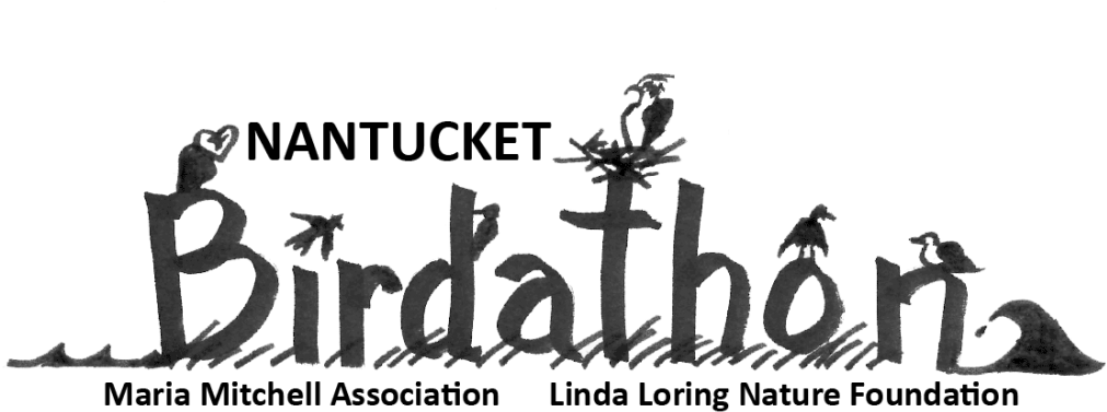 00 Pm May 16 To - Santillana Compartir (1024x409), Png Download