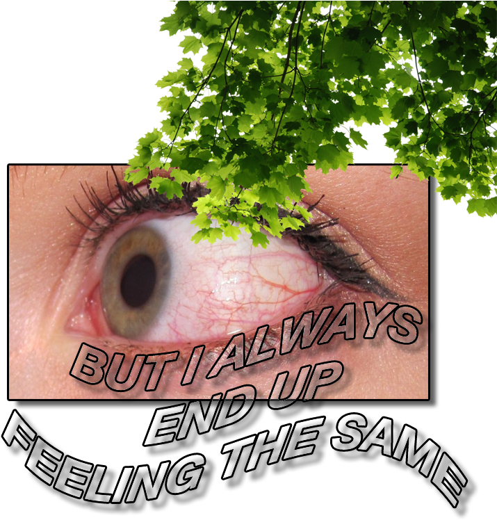 Intaes Internet Aesthetics Vaporwave Netart Webart - Bergamot Essential Oil 1 Fl Oz - 100 Pure & Natural (800x800), Png Download