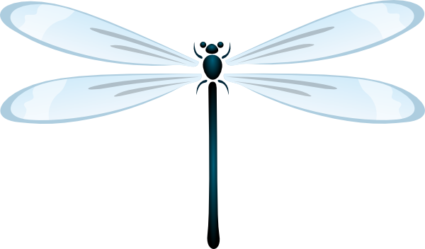 Dragonfly (600x352), Png Download