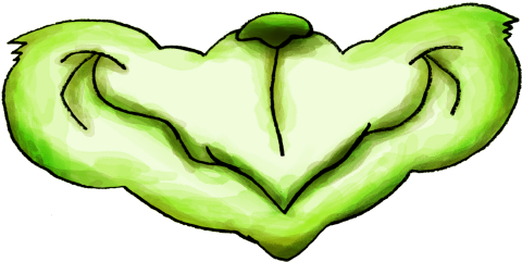 Photo Fun Messages Sticker-7 (480x480), Png Download