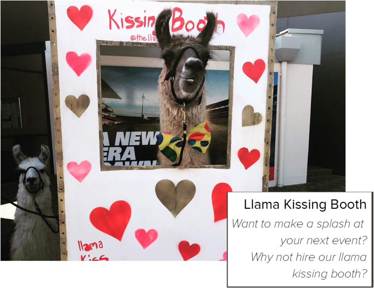 1kissing Booth (1000x641), Png Download