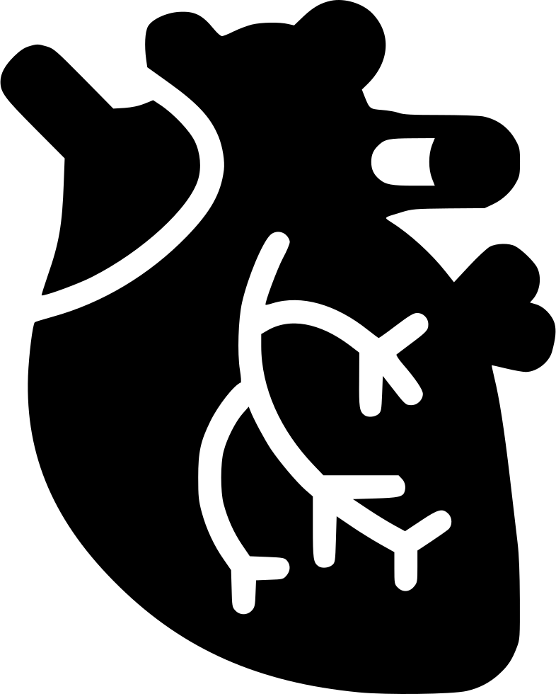 Cardiac Muscle Comments - Heart Organ Icon Png (786x980), Png Download