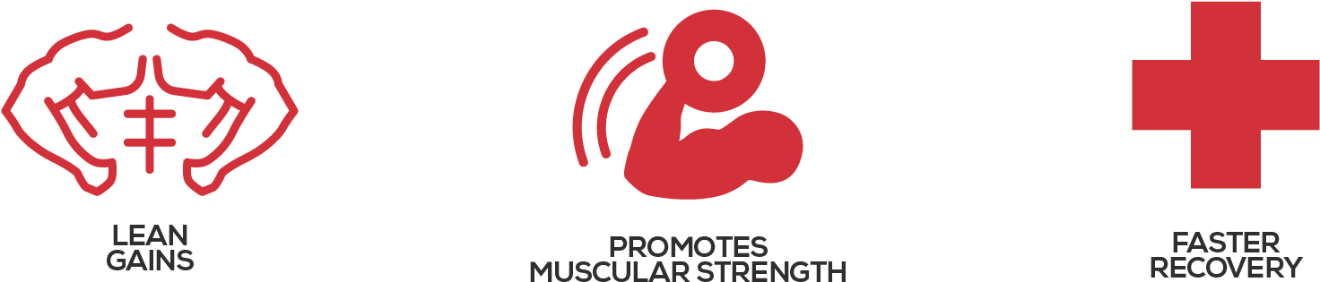 Moab - Muscle Builder - Graphic Design (1687x500), Png Download