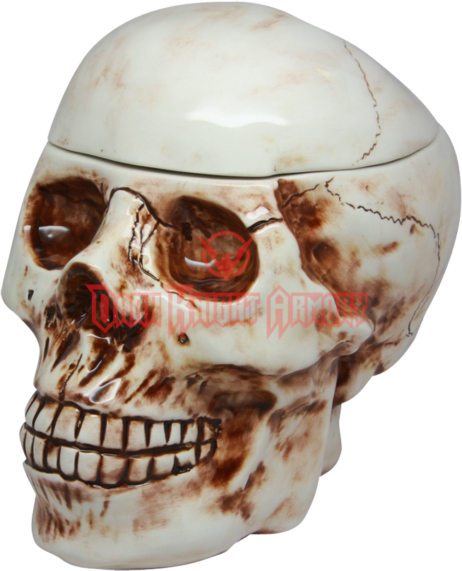 Pacific Trading Skull Cookie Jar (850x850), Png Download