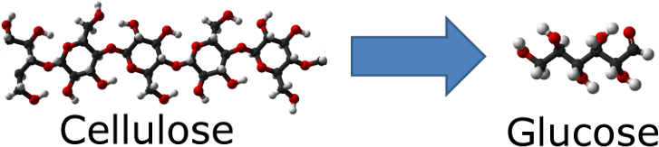 Cellulose To Glucose 750 - Conversion Of Glucose To Cellulose (750x192), Png Download