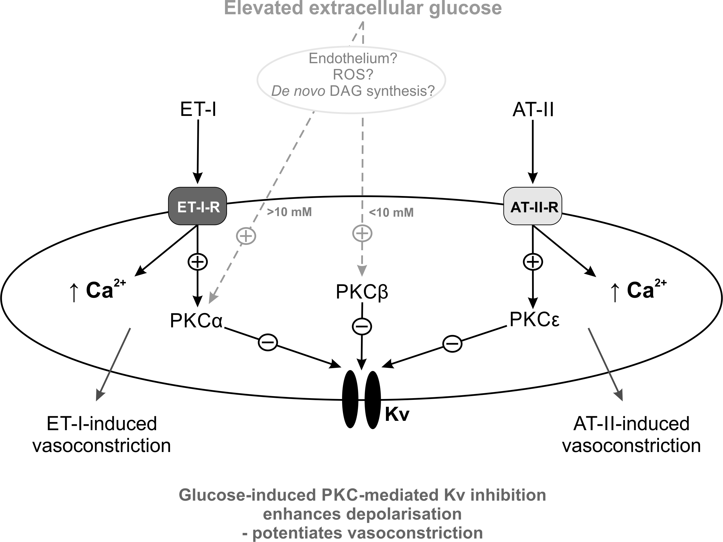 University Of Leicester (2484x1861), Png Download