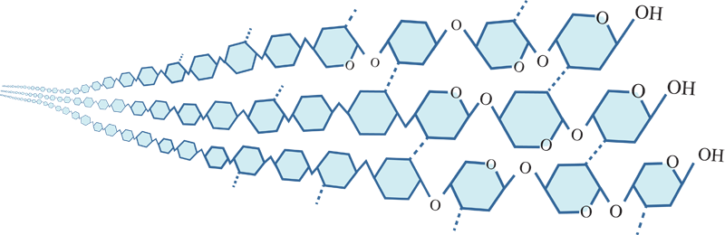 18 Nov 2014 - Title Page (800x260), Png Download