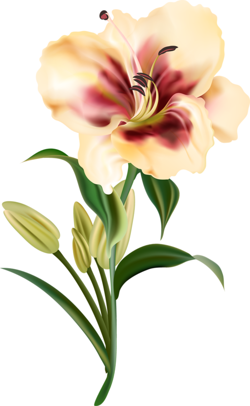 Clipart Download Amaryllis Drawing Realistic - Chien Et Fleur Png (492x800), Png Download