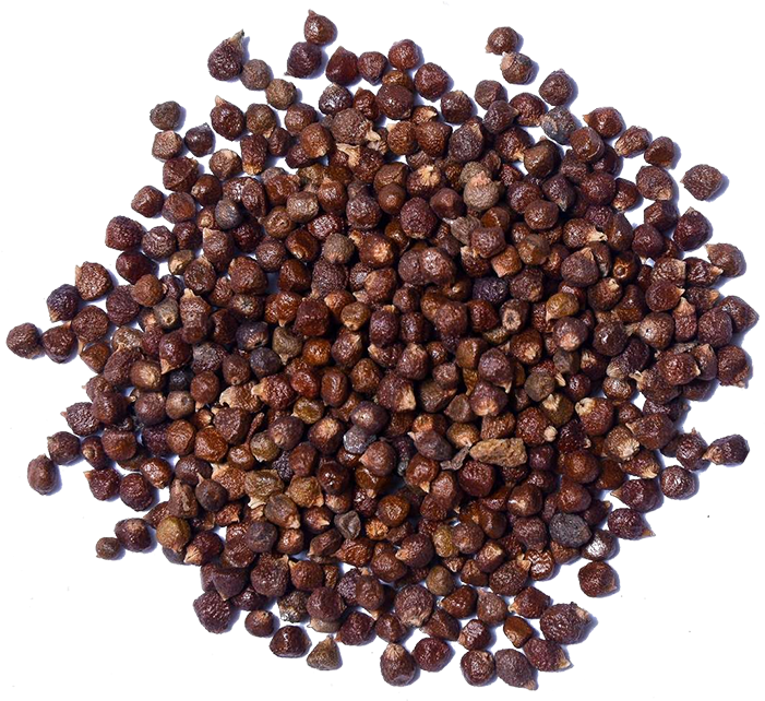 Grains Of Paradise (700x700), Png Download