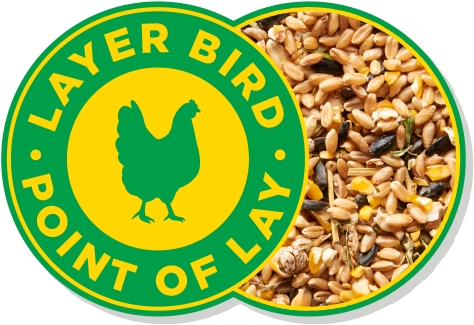 Grains And Greens - No Racism Sign (507x362), Png Download