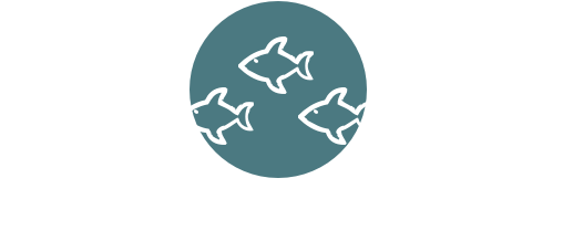 8@2x - Portable Network Graphics (516x292), Png Download