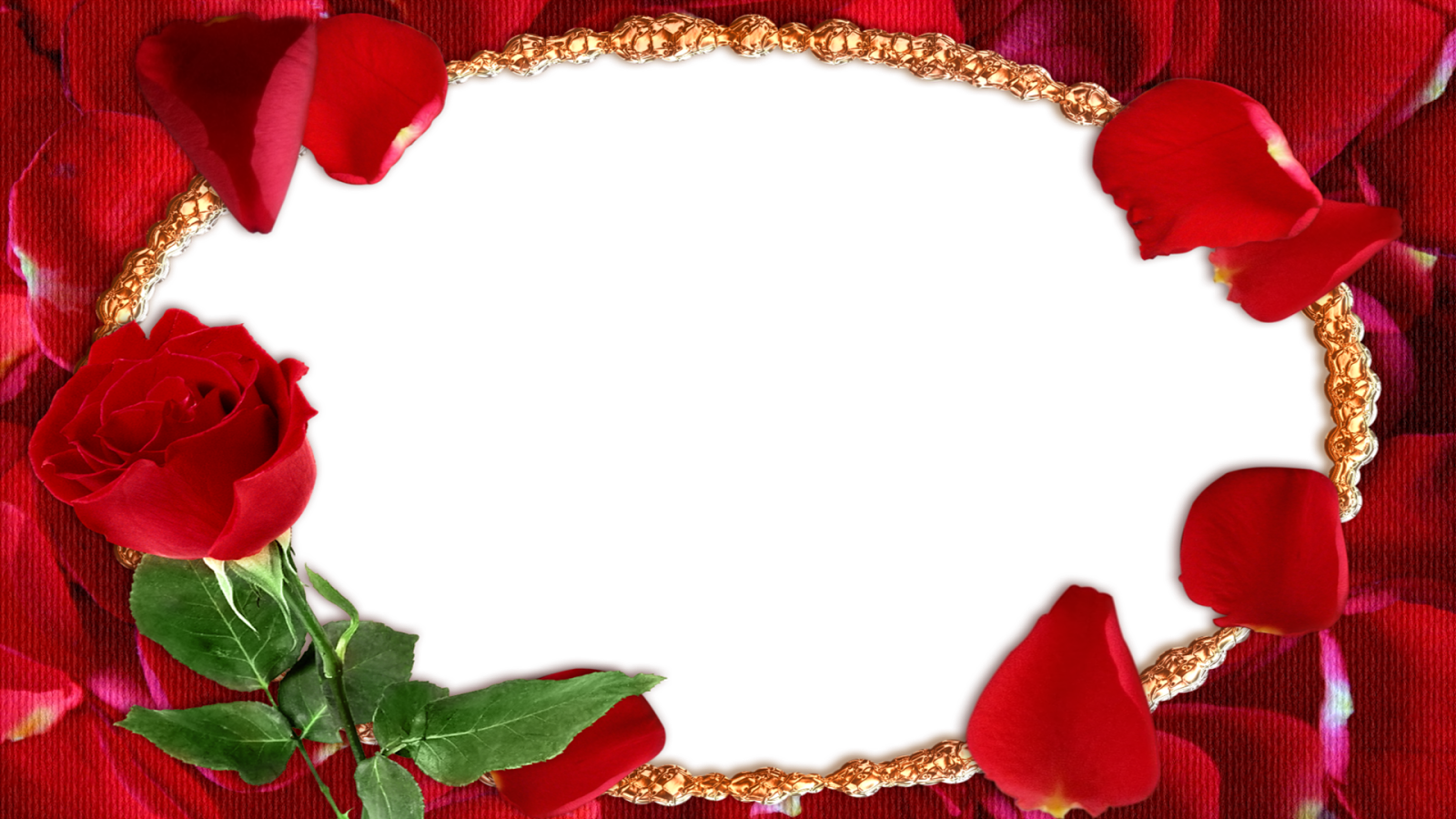 Molduras Dia Dos Namorados Em Hd E Fullhd - Moldura Com Rosas Vermelhas (1600x900), Png Download