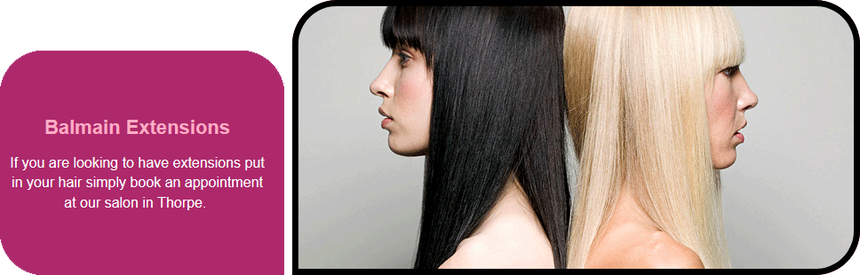 Gianna Zagni Hair And Beauty Salon - Extensions Remy Straight 7pcs Clip In Real Head Human (968x310), Png Download