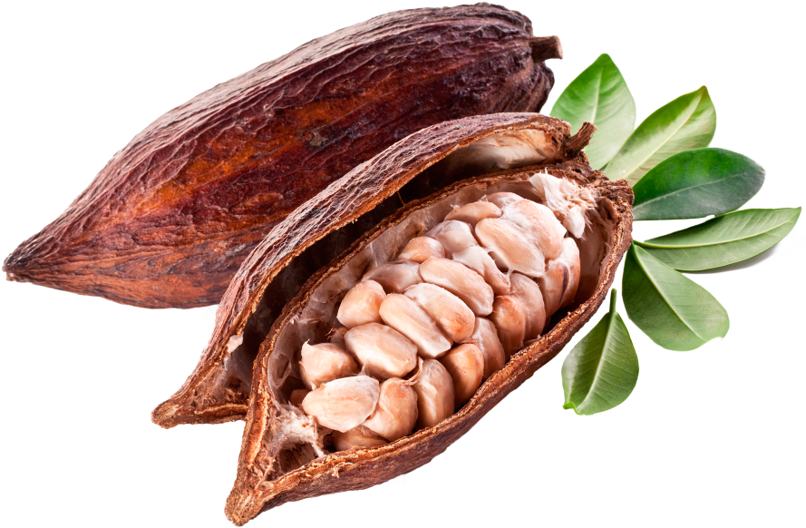 Ver Más - Food (903x618), Png Download