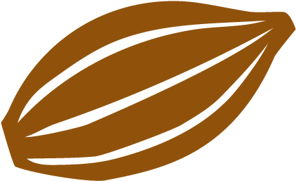 Graine De Cacao Png (481x332), Png Download