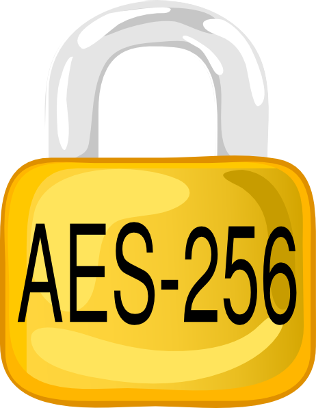 Lock Aes 256 Clip Art - Aes 256 Icon Png (462x596), Png Download