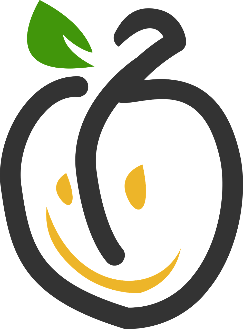 Pictogram Fruit Apricot - Ville De Saint Etienne (947x1280), Png Download