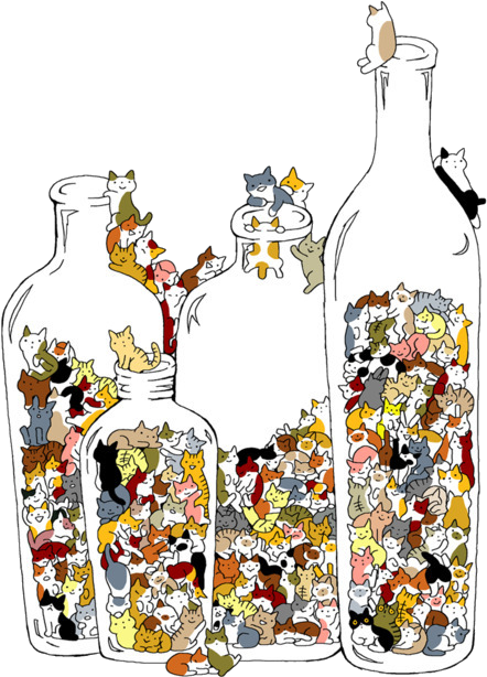 Overlay, Overlays, Png, Transparent, Tumblr, Transparents, - 99 Dogs And One Cat (500x666), Png Download
