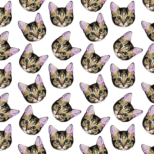 Cat Tumblr Background - Backgrounds Cats (500x500), Png Download