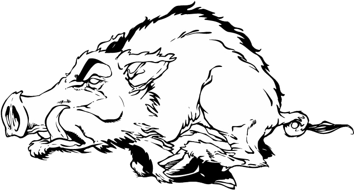 Walhalla Senior Razorbacks - Decal (780x412), Png Download