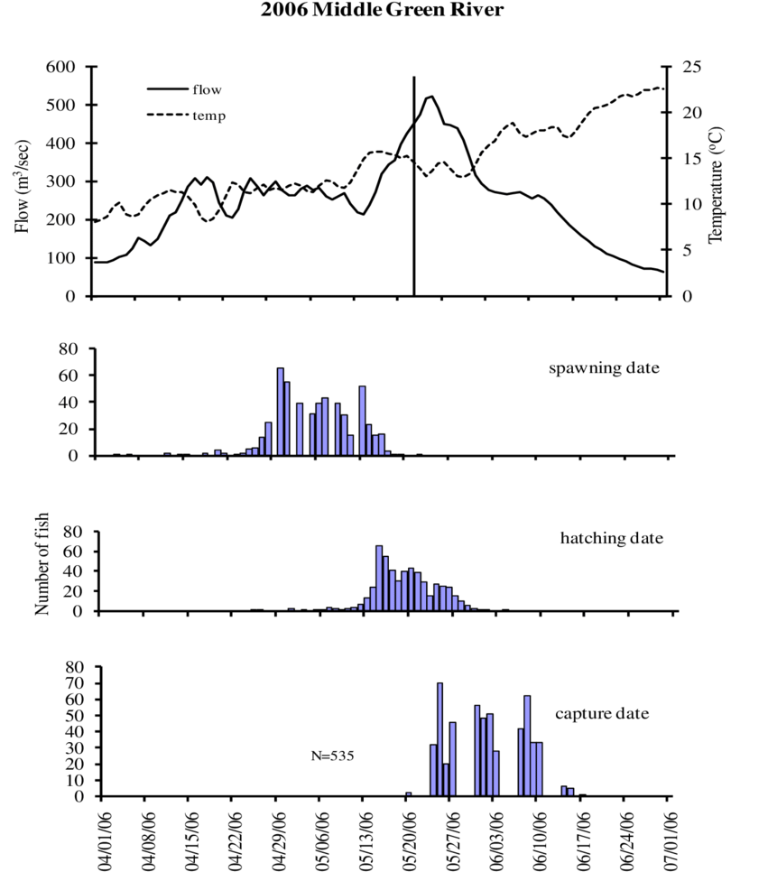 Capture And Otolith Age Estimated Hatching And Spawning - Diagram (850x1005), Png Download