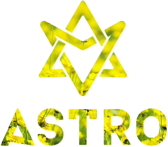 Related Wallpapers - Astro Kpop Logo Png (500x500), Png Download