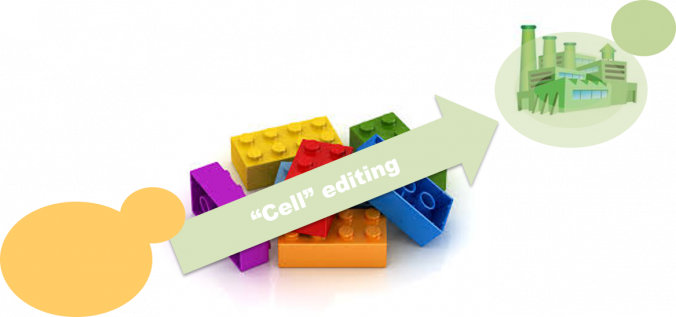 Img Tema Nuno Mira - Graphic Design (676x317), Png Download