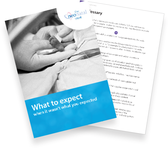 Book Cover & Page - Brochure (783x663), Png Download