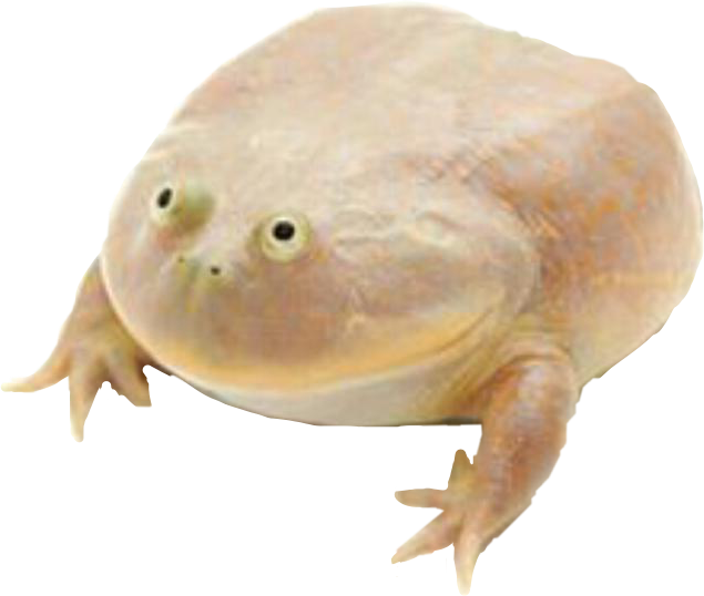 It Is Wednesday My Dudes Wednesday Itiswednesdaymydudes - Wednesday My Dudes (635x538), Png Download