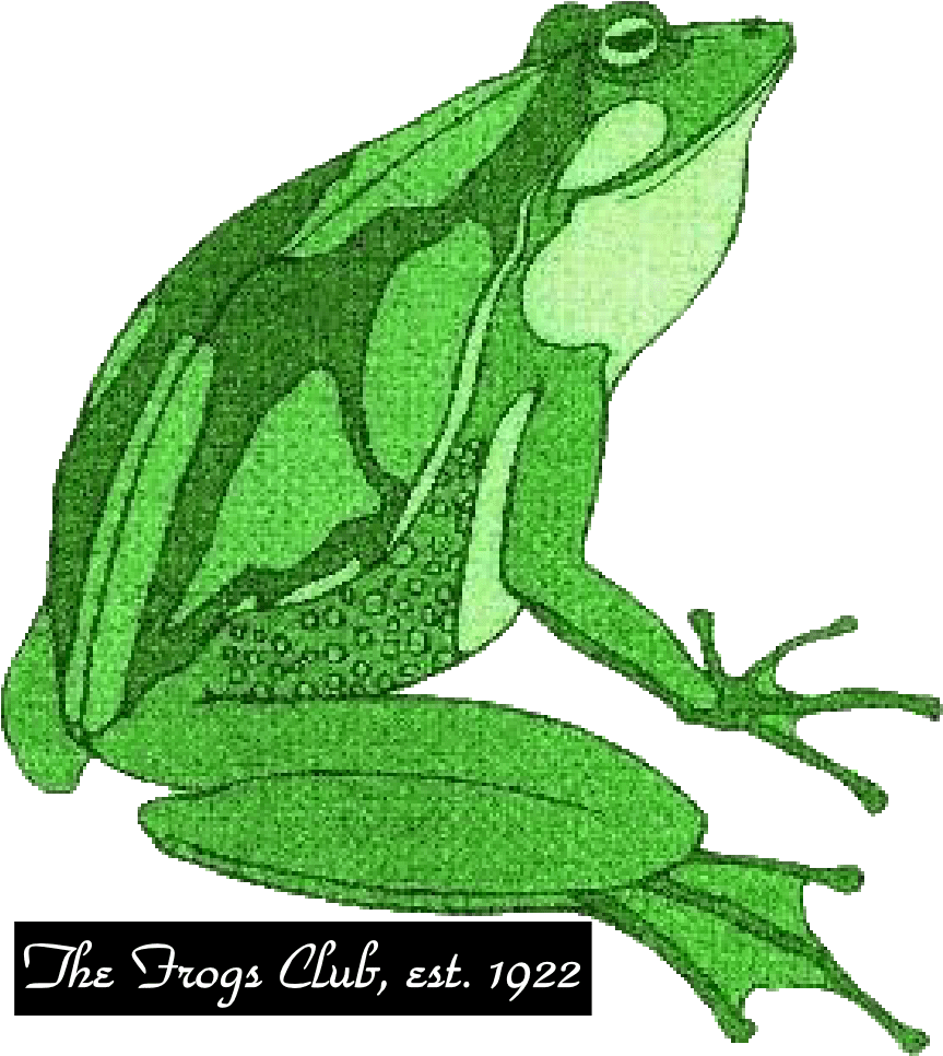Coal Website - Frog - The Frogs (891x1050), Png Download