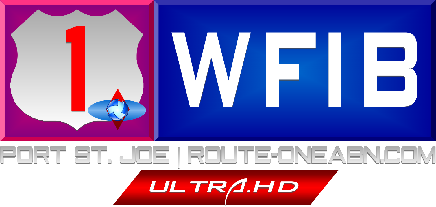 Wfib Logo - Graphic Design (1508x717), Png Download