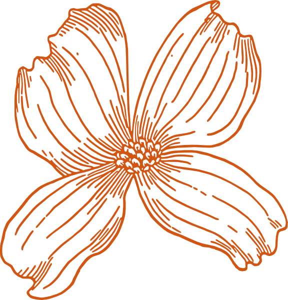 How To Set Use Burnt Orange Flower Clipart - Adult Coloring For Mother: Relaxing Adult Coloring (576x600), Png Download