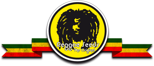 Diseminatium Sl - Reggae (520x231), Png Download