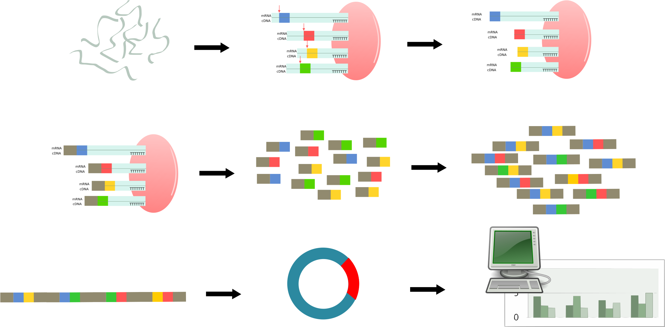 This Free Icons Png Design Of Serial Analysis Of Gene (2400x1140), Png Download