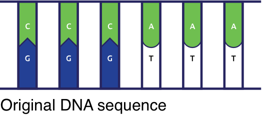 A Genetic Disorder Is A Disease That Can Be Caused - Mutation (524x230), Png Download