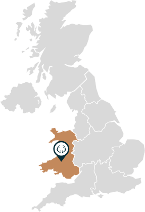 Are You Are Thinking Of Spending Your Holiday In Wales - Uk Map (287x419), Png Download