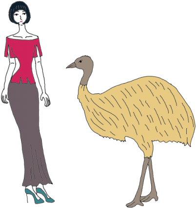 Emu - Flightless Bird (450x450), Png Download