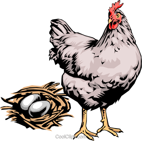 Hen With Eggs Royalty Free Vector Clip Art Illustration - Chicken Lay Eggs Gif (480x476), Png Download