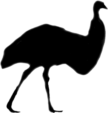 Emu Farming In India - Flightless Bird (500x466), Png Download