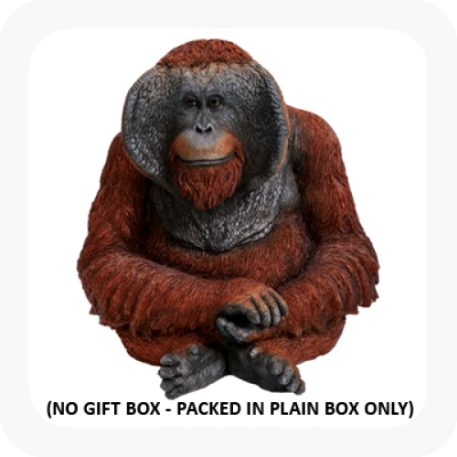 More Views - Monkey (500x500), Png Download