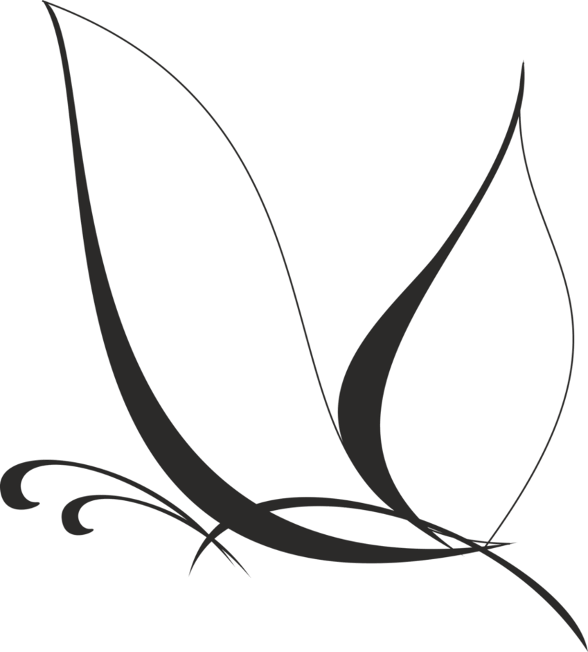 Butterfly Vector (849x941), Png Download