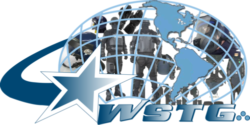 World Star Traders Group - Nasdaq:wstg (500x251), Png Download